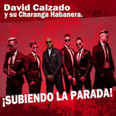 David Calzado y Su Charanga Habanera - Subiendo La Parada